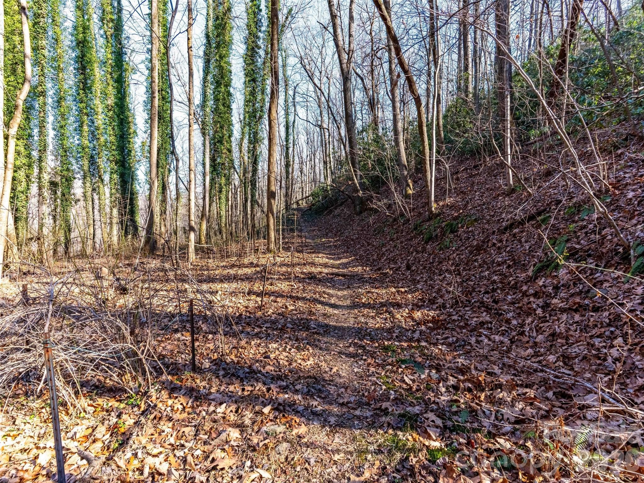 Lot at 00 Mountain Page Road, Saluda, photo 32 of 84
