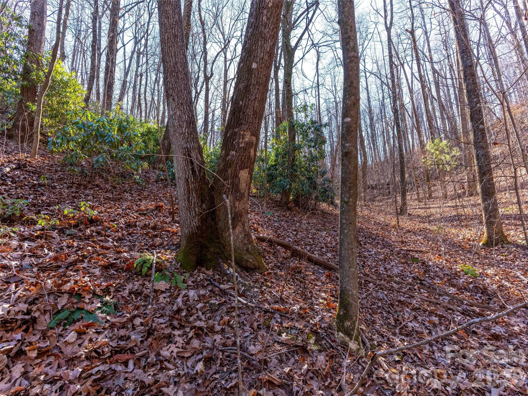 Lot at 00 Mountain Page Road, Saluda, photo 34 of 84