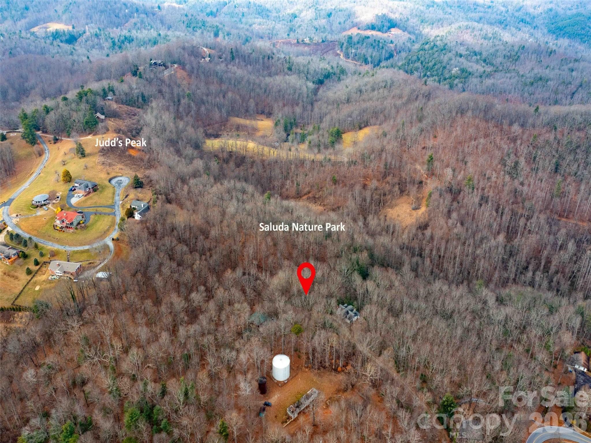 Lot at 00 Mountain Page Road, Saluda, photo 36 of 84