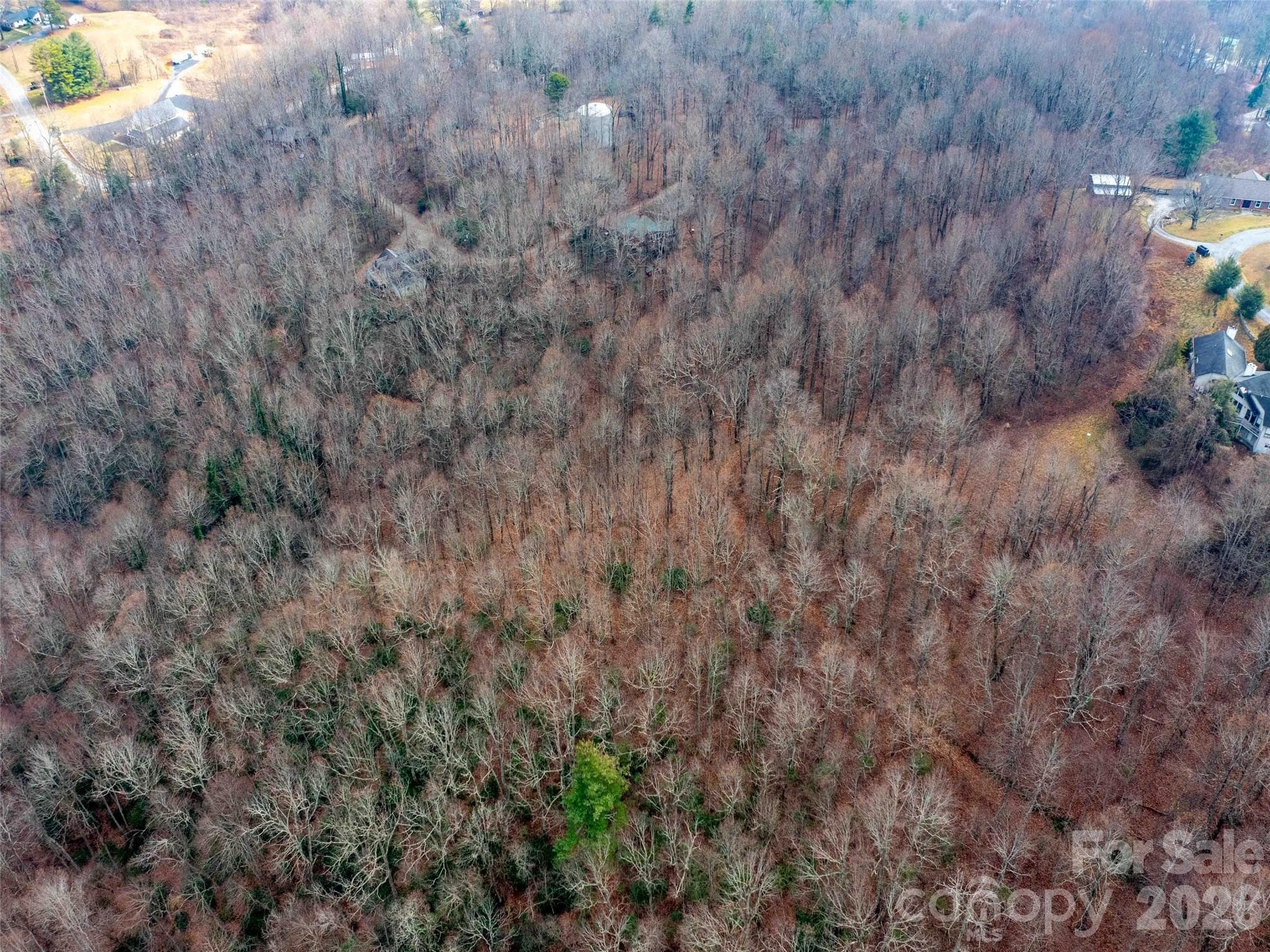 Lot at 00 Mountain Page Road, Saluda, photo 48 of 84