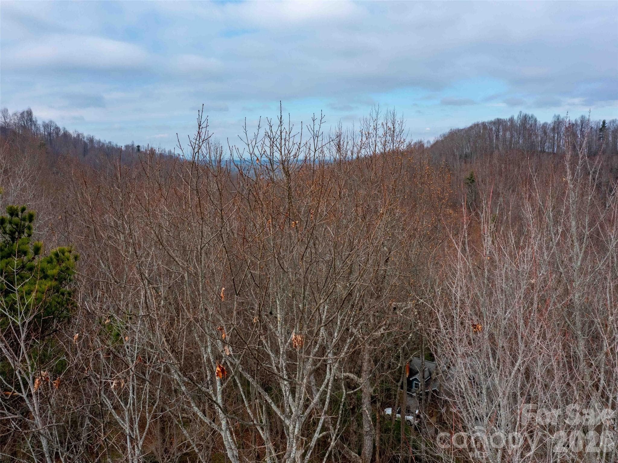 Lot at 00 Mountain Page Road, Saluda, photo 54 of 84