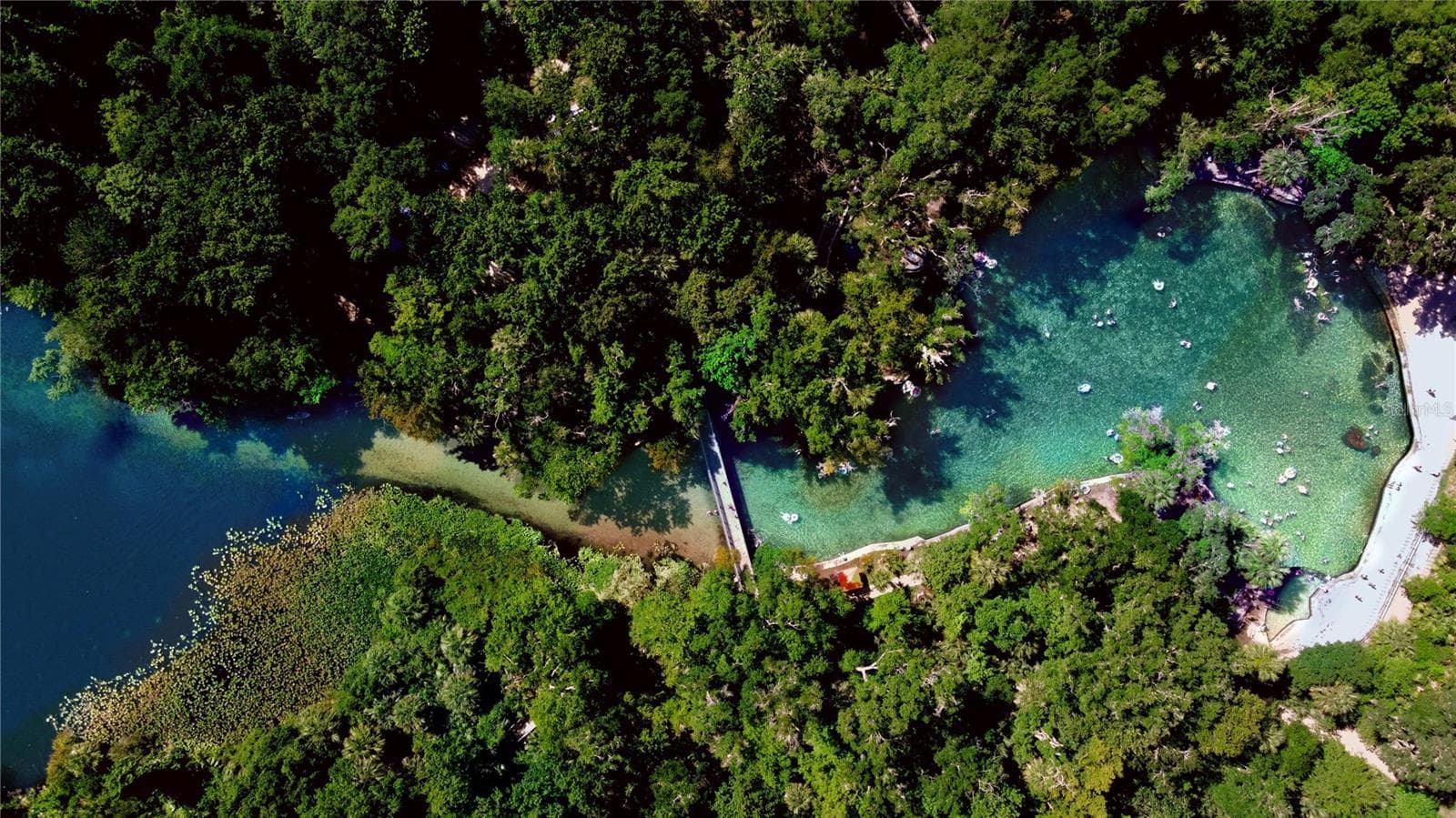 Wekiwa Springs State Park ~1 Mile Away! - 1349 VALLEY PINE CIR, APOPKA