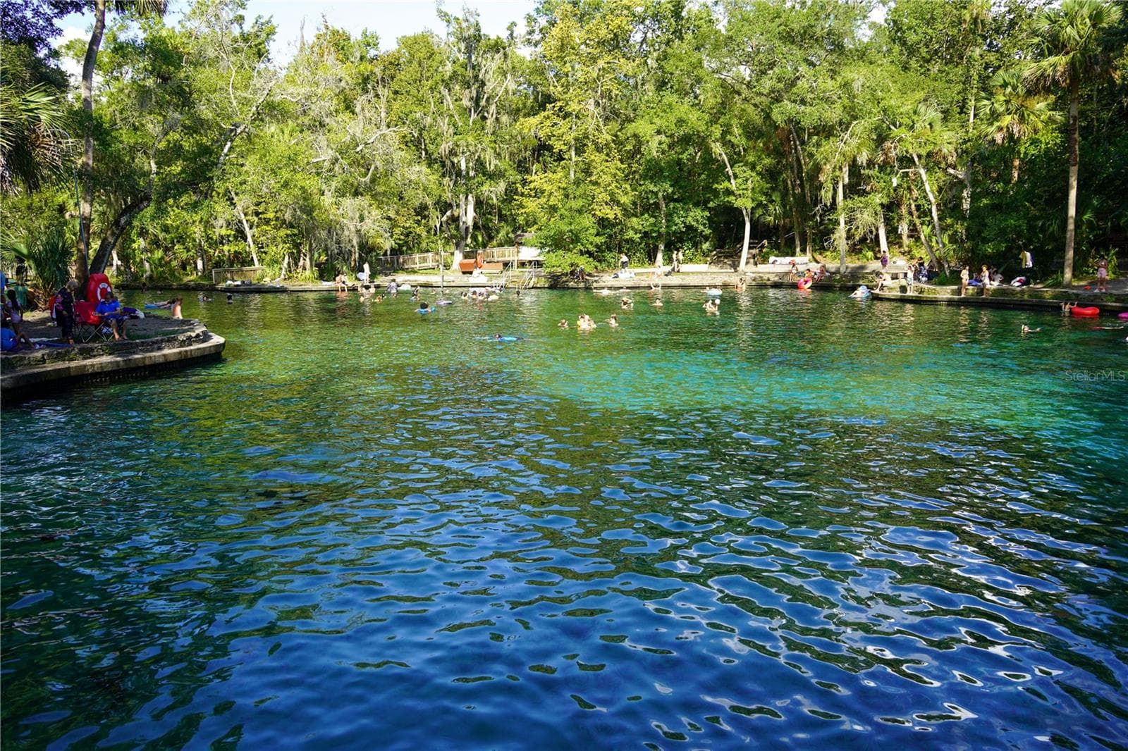Wekiwa Springs State Park ~1 Mile Away! - 1349 VALLEY PINE CIR, APOPKA