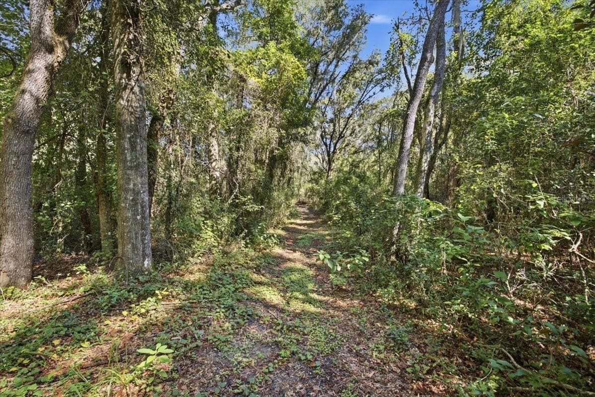 Trails that wind through the wooded section of the property - 10149 ROCKBAY RD, BROOKSVILLE