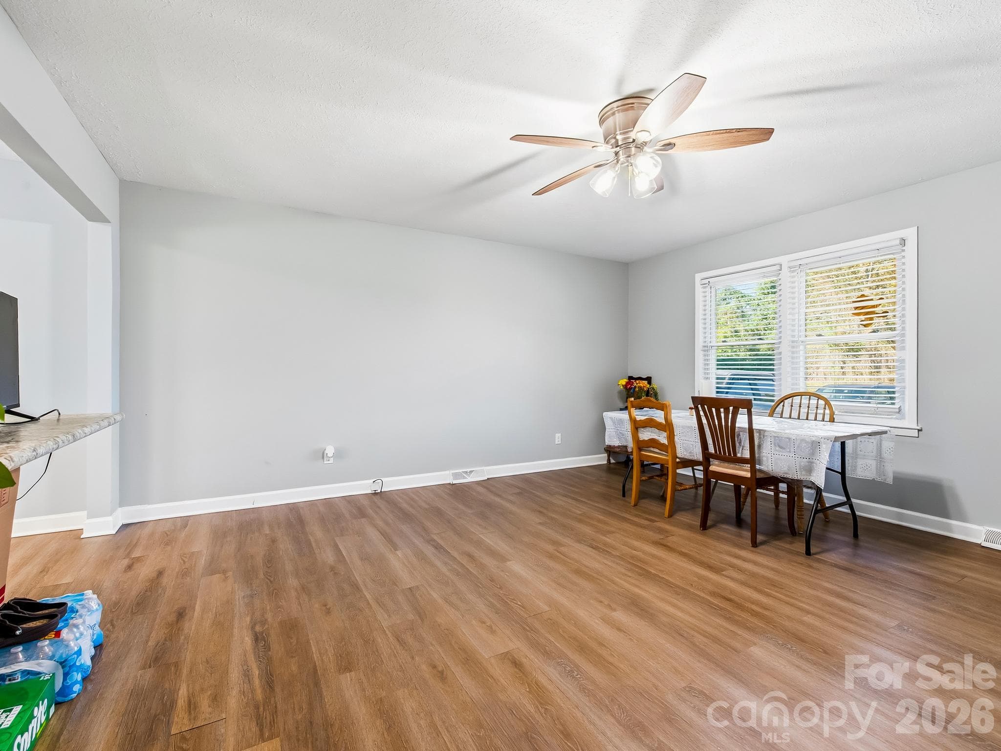Living Room - 17 Randolph Avenue, Flat Rock
