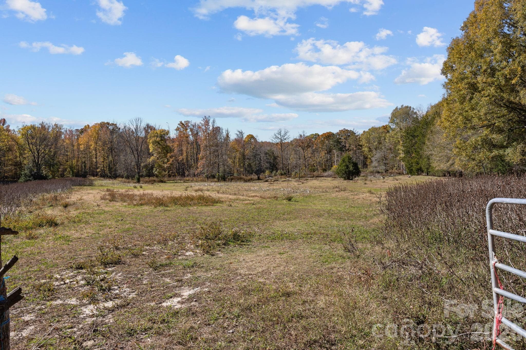 Pasture - 3178 Foxford Drive, Concord