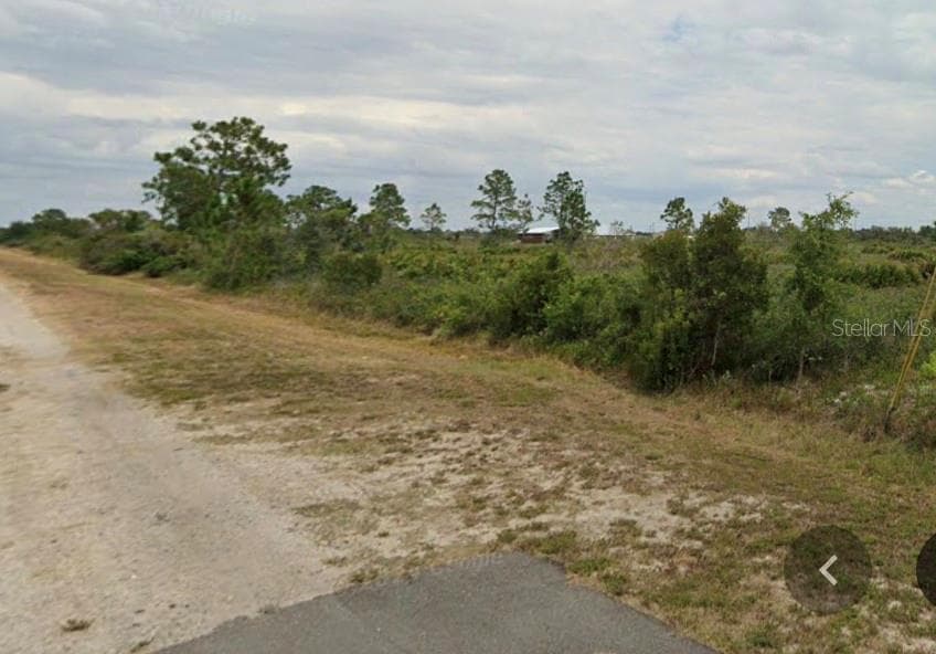 Land at 2842 W BUTKUS RD, AVON PARK, photo 3 of 3