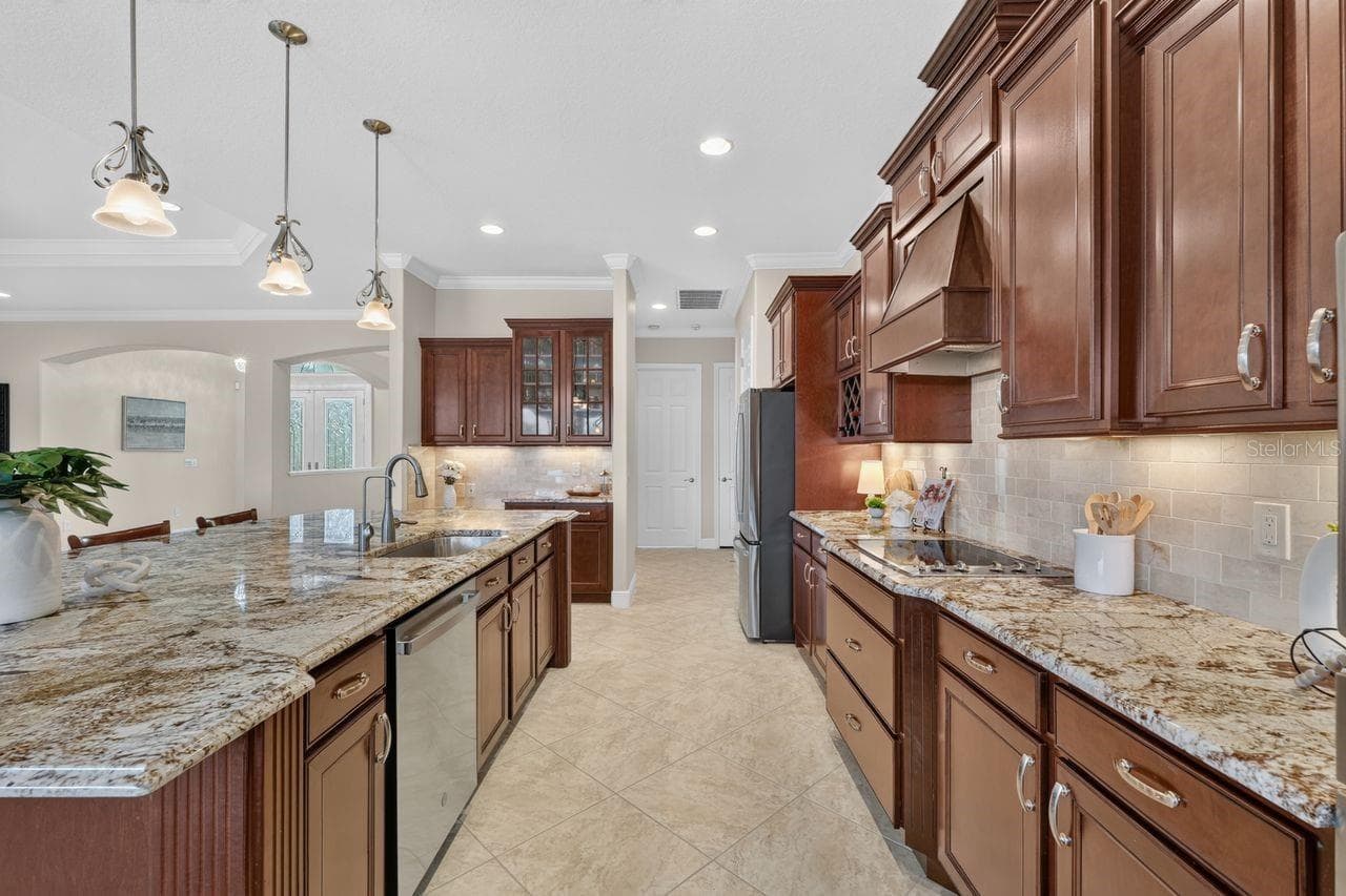under cabinet lighting and pull outs - 17115 4TH AVE E, BRADENTON