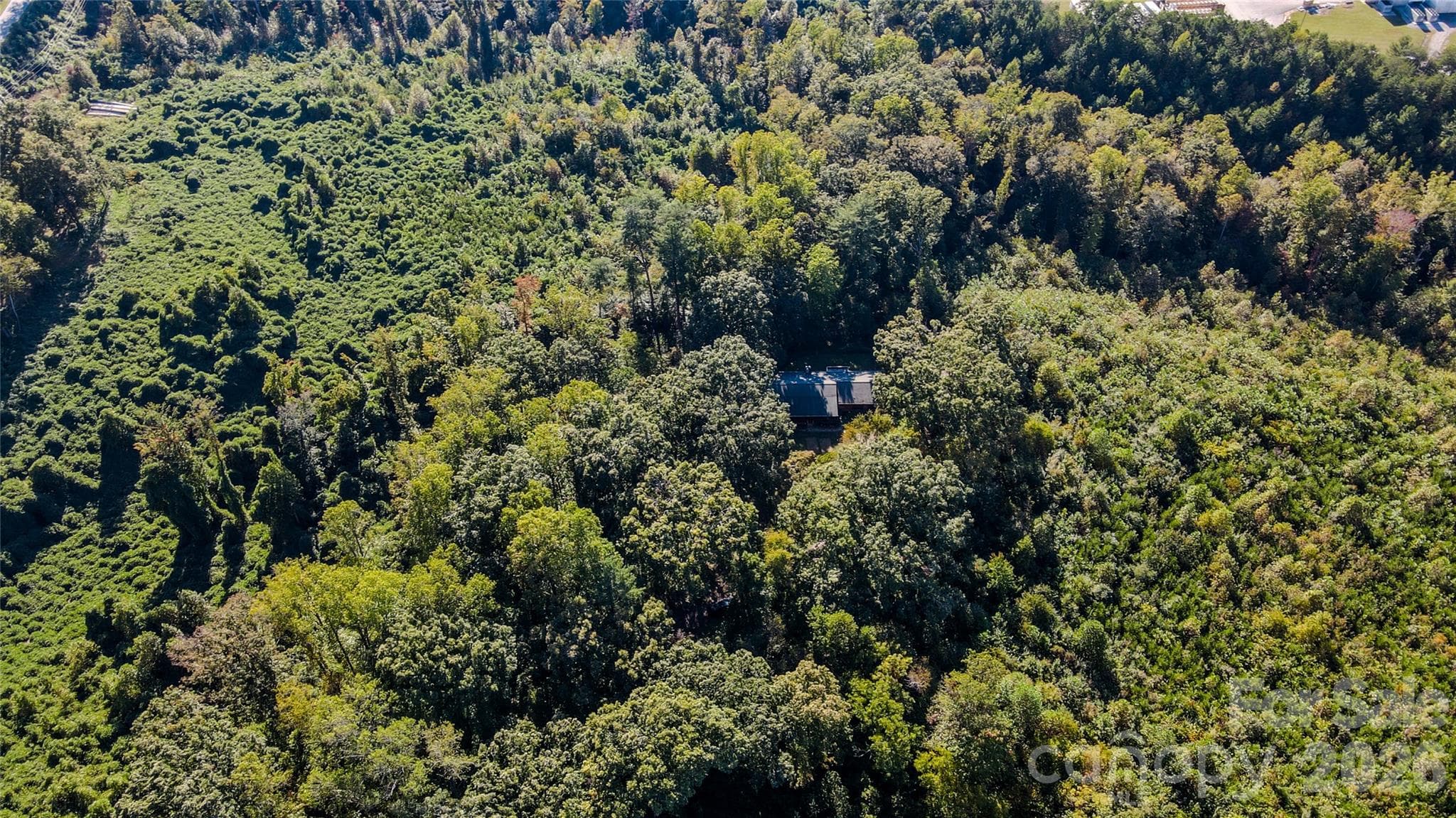 maximum privacy - 3576 Julian Welborn Drive, Morganton