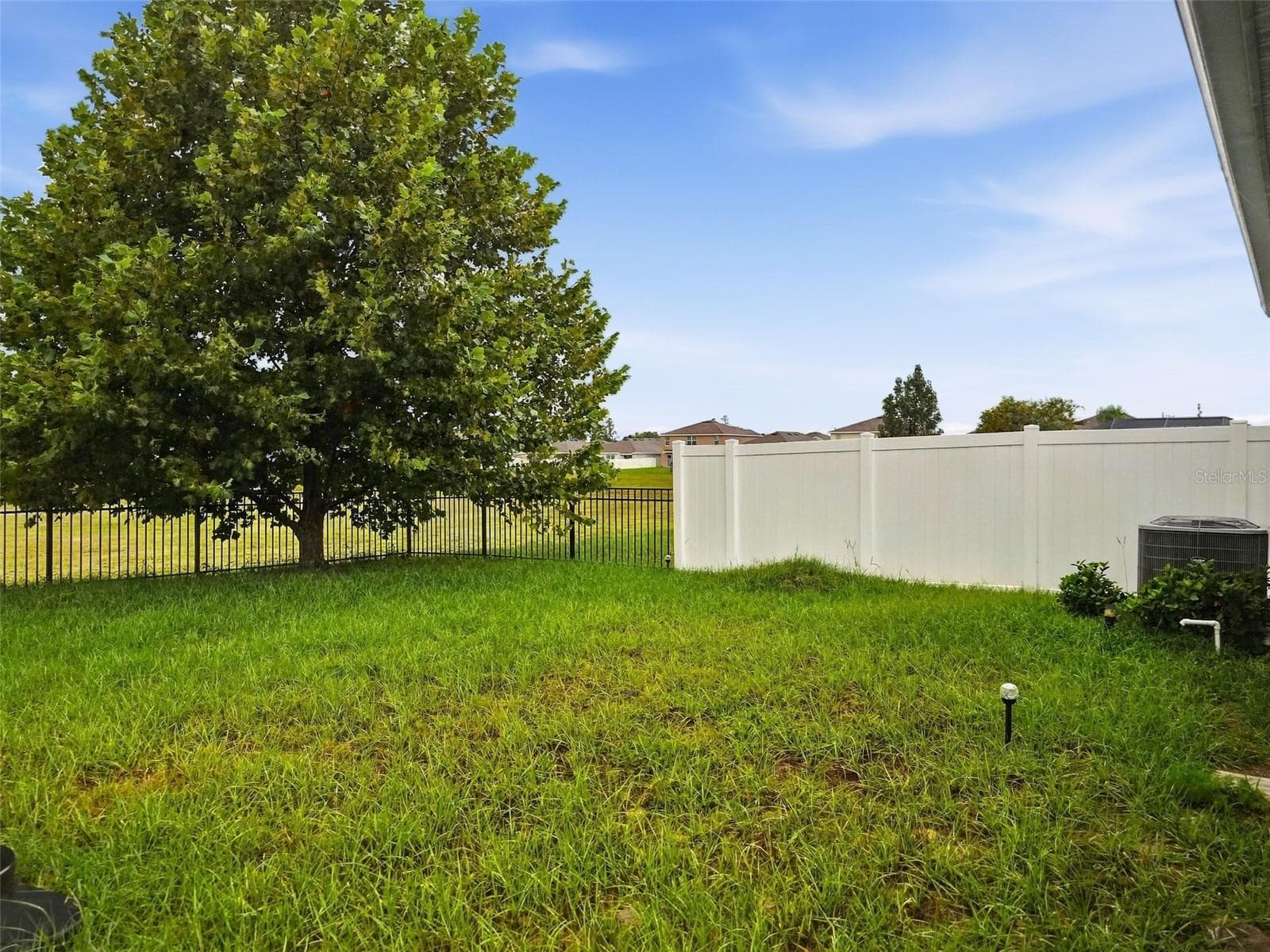 Back Yard - 3392 AUTUMN AMBER DR, SPRING HILL
