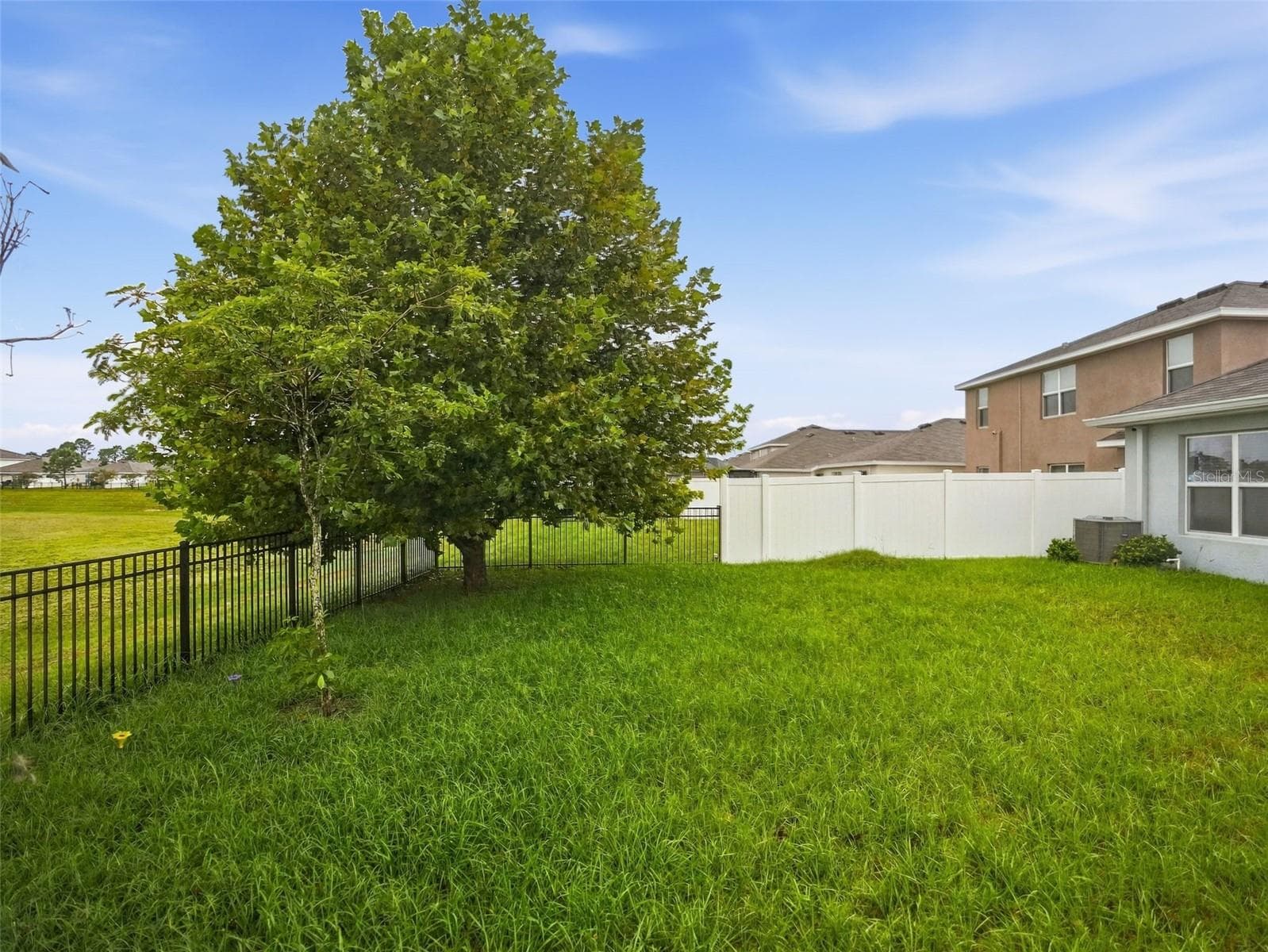 Back Yard - 3392 AUTUMN AMBER DR, SPRING HILL