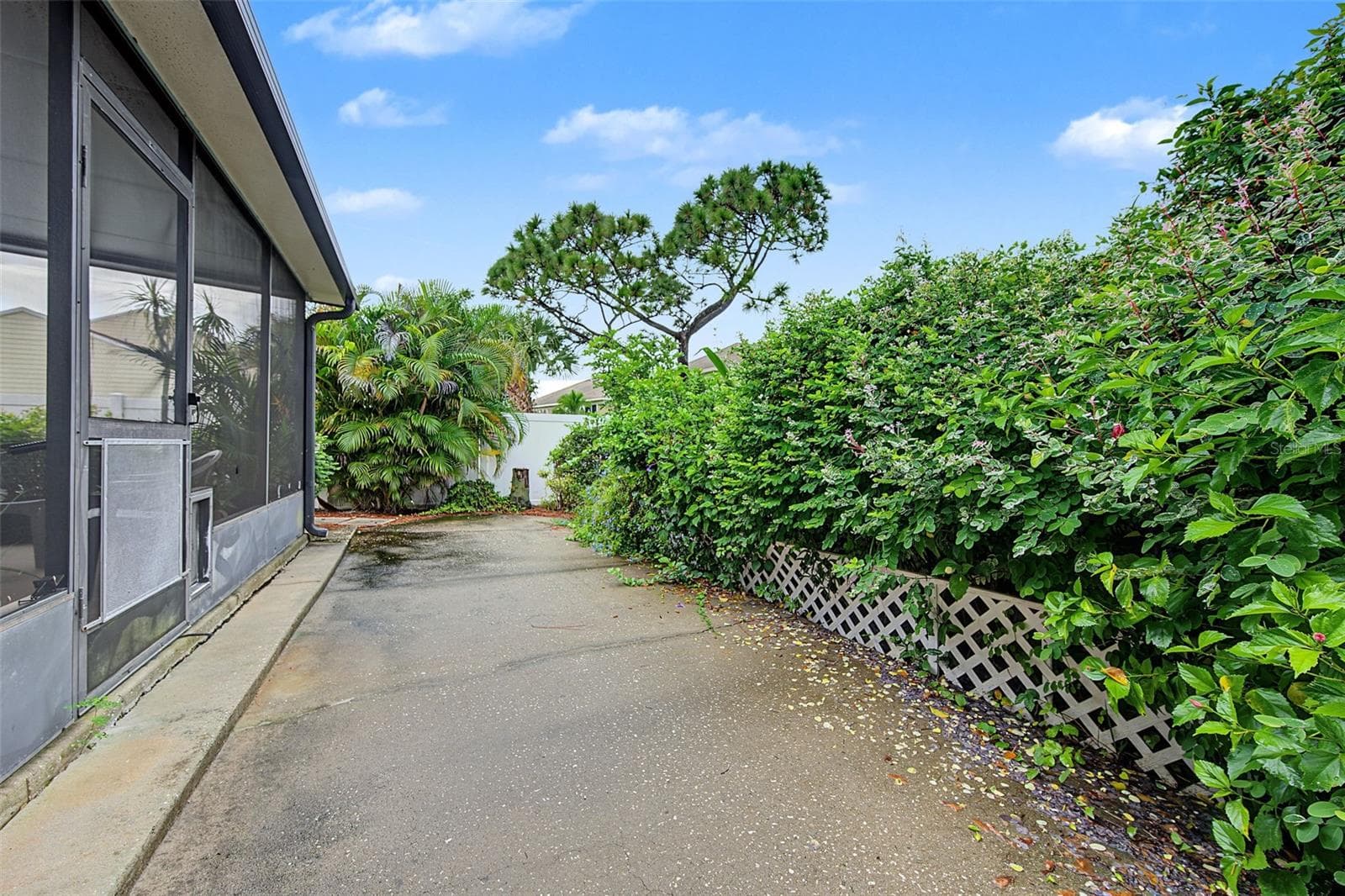 Fenced Backyard with Patio - 2771 SUMMERDALE DR #7, CLEARWATER