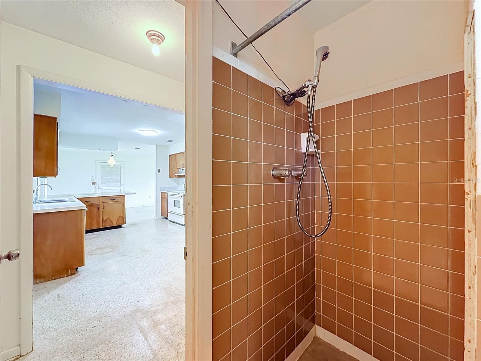 Primary SHower - 15150 COLLEY DR, TAVARES