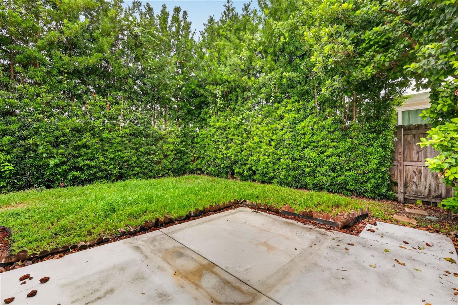 backyard - 8484 DOVER VIEW LN, ORLANDO