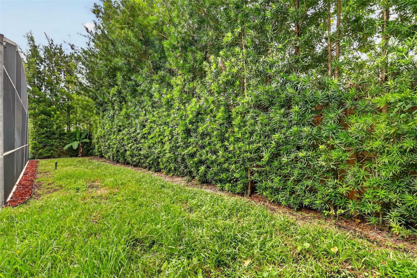 backyard - 8484 DOVER VIEW LN, ORLANDO