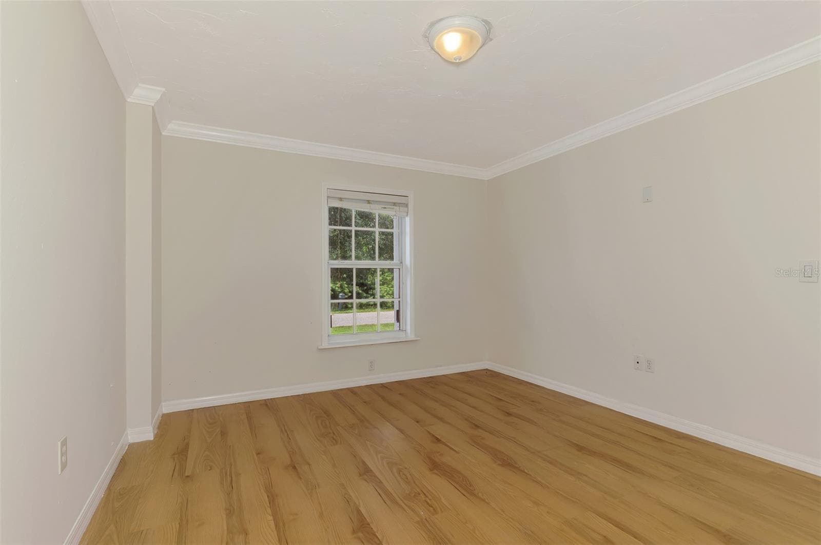 Primary Bedroom - 11036 JACQUELINE AVE, ENGLEWOOD