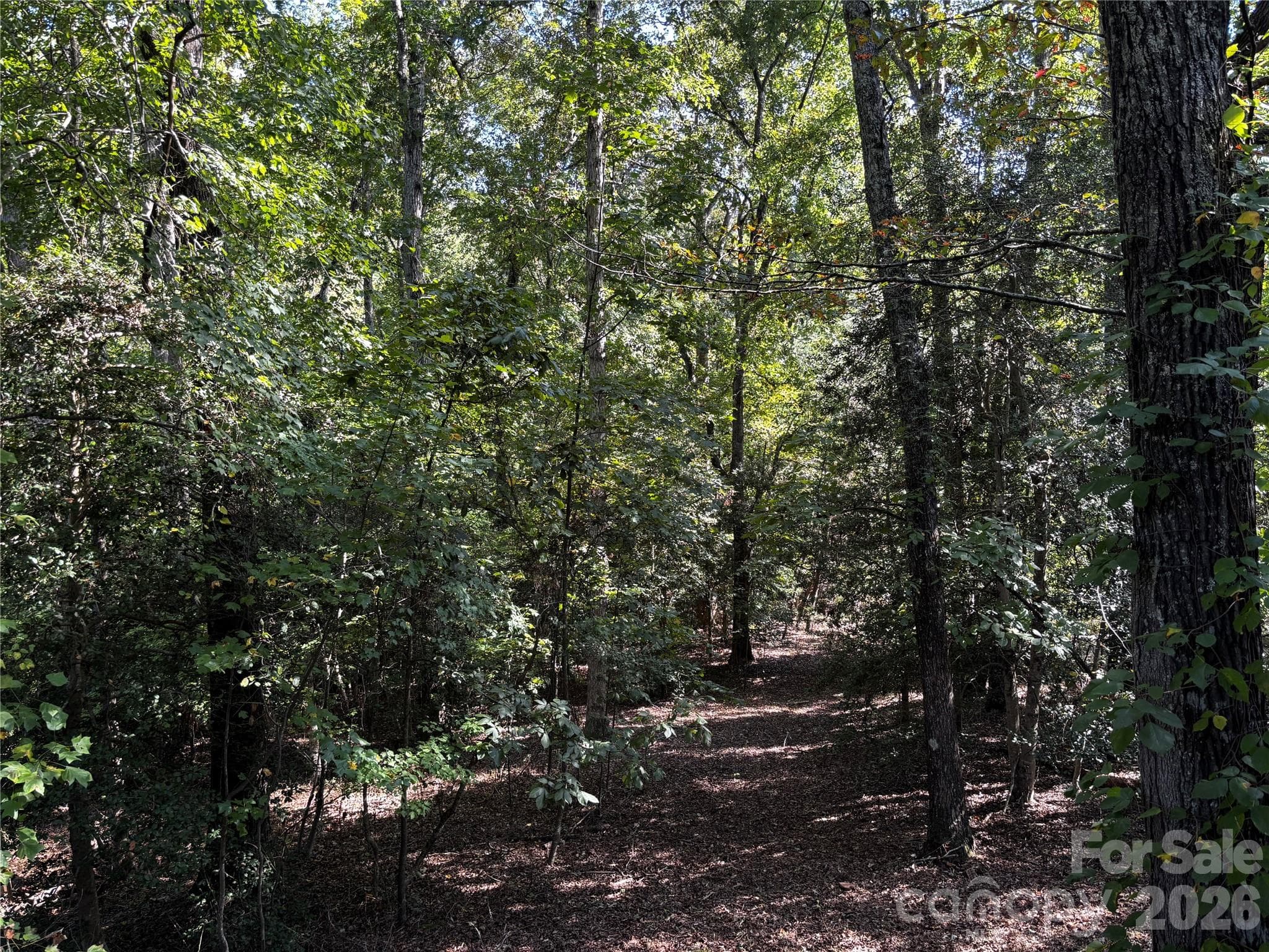 Direct access to the much coveted CETA trail system which also connects to the FETA trail system.  Both require membership. - 600 John Weaver Road, Columbus