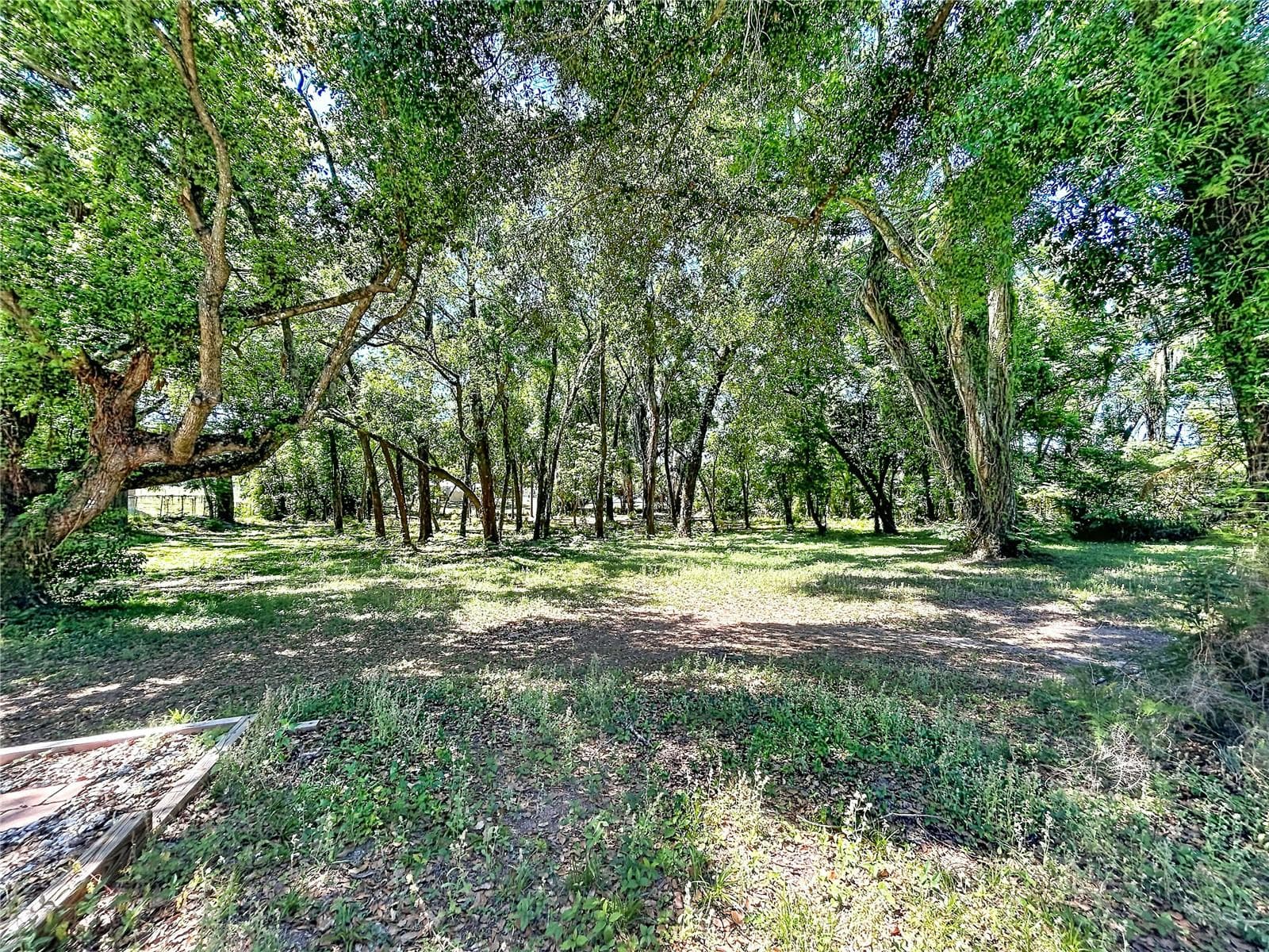 View to the back of the property - 37250 FLORIDA AVE, DADE CITY