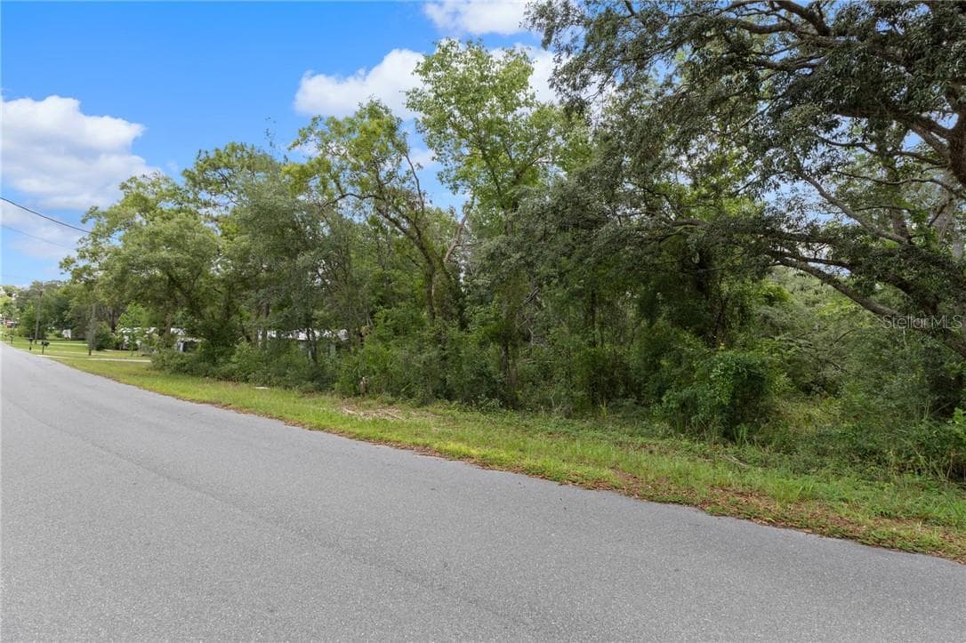 Land at 5239 W Shaker PL, LECANTO FL 34461, photo 4 of 10