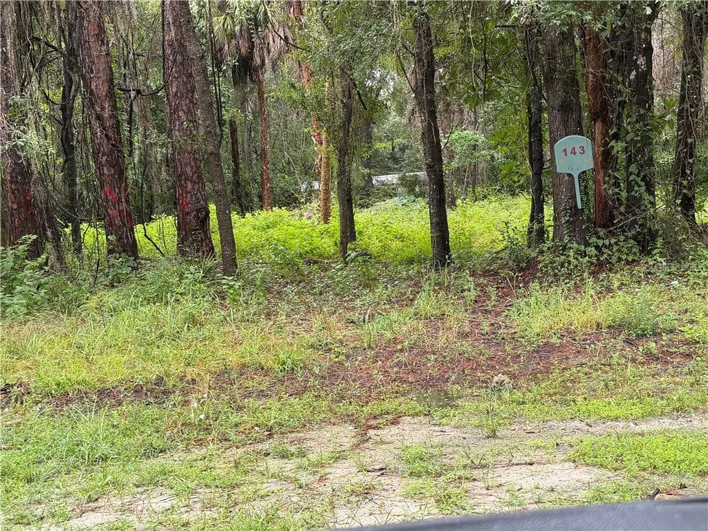 143 N Schoolcraft DR, INGLIS FL 34449