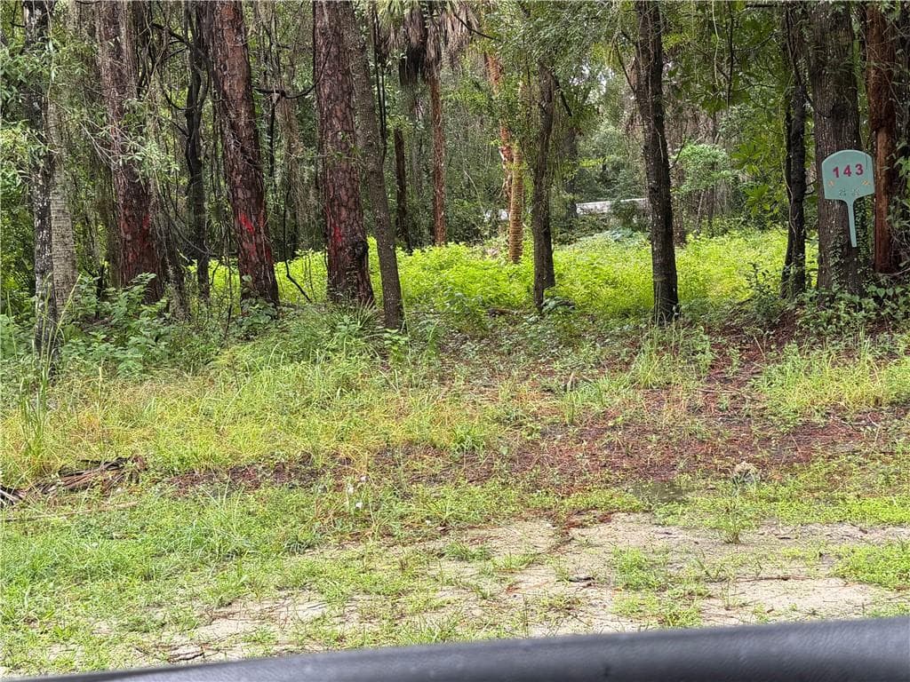 Land at 143 N Schoolcraft DR, INGLIS FL 34449, photo 2 of 2