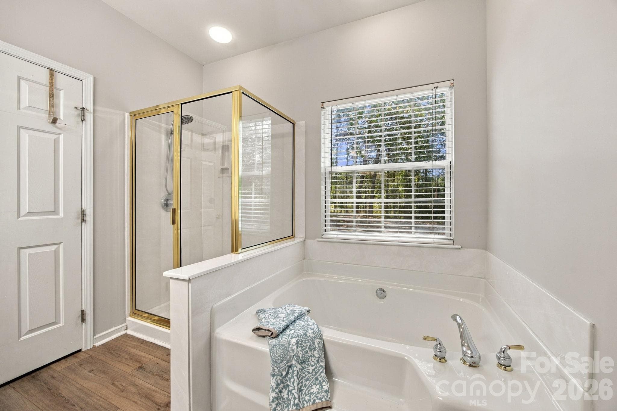 garden tub and separate shower - 195 Huntly Lane, Mooresville