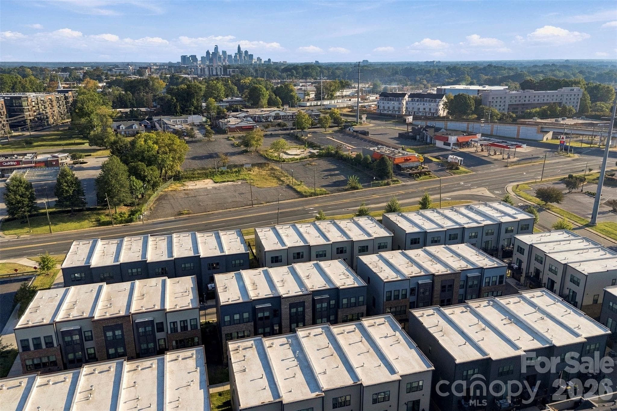 Charlote Skyline & LoSo - 3028 Terroir Lane, Charlotte