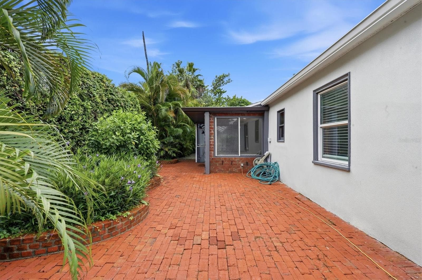 Back Yard - 1800 ALTA VISTA ST, SARASOTA