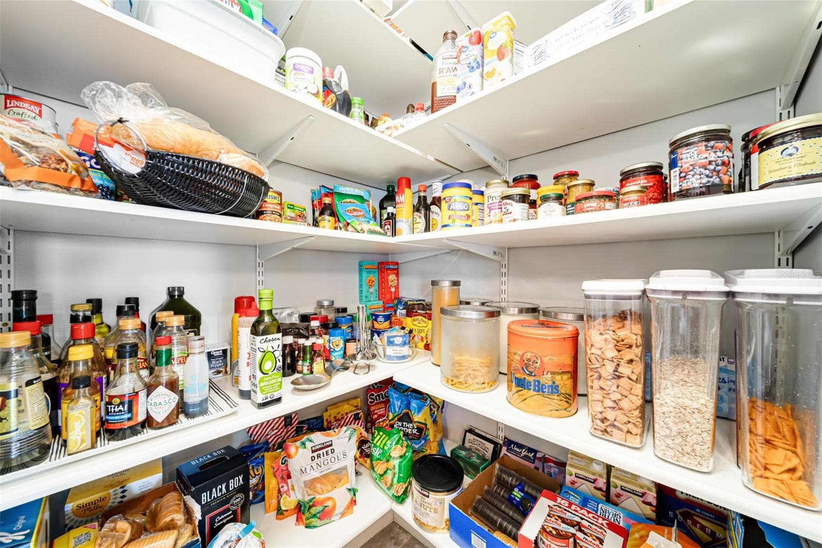 Convenient walk-in pantry with plenty of room for kitchen essentials. - 6195 ANISE DR, SARASOTA