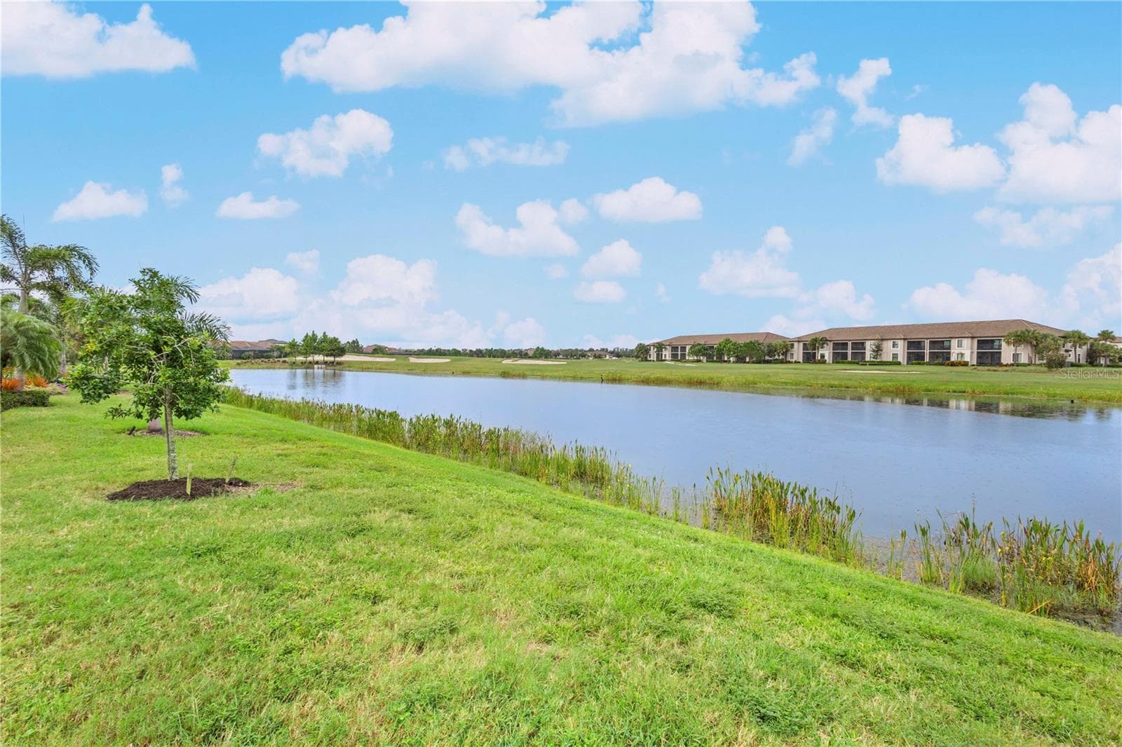 Single Family Residence at 5634 CHEECH GLN, LAKEWOOD RANCH, photo 33 of 35
