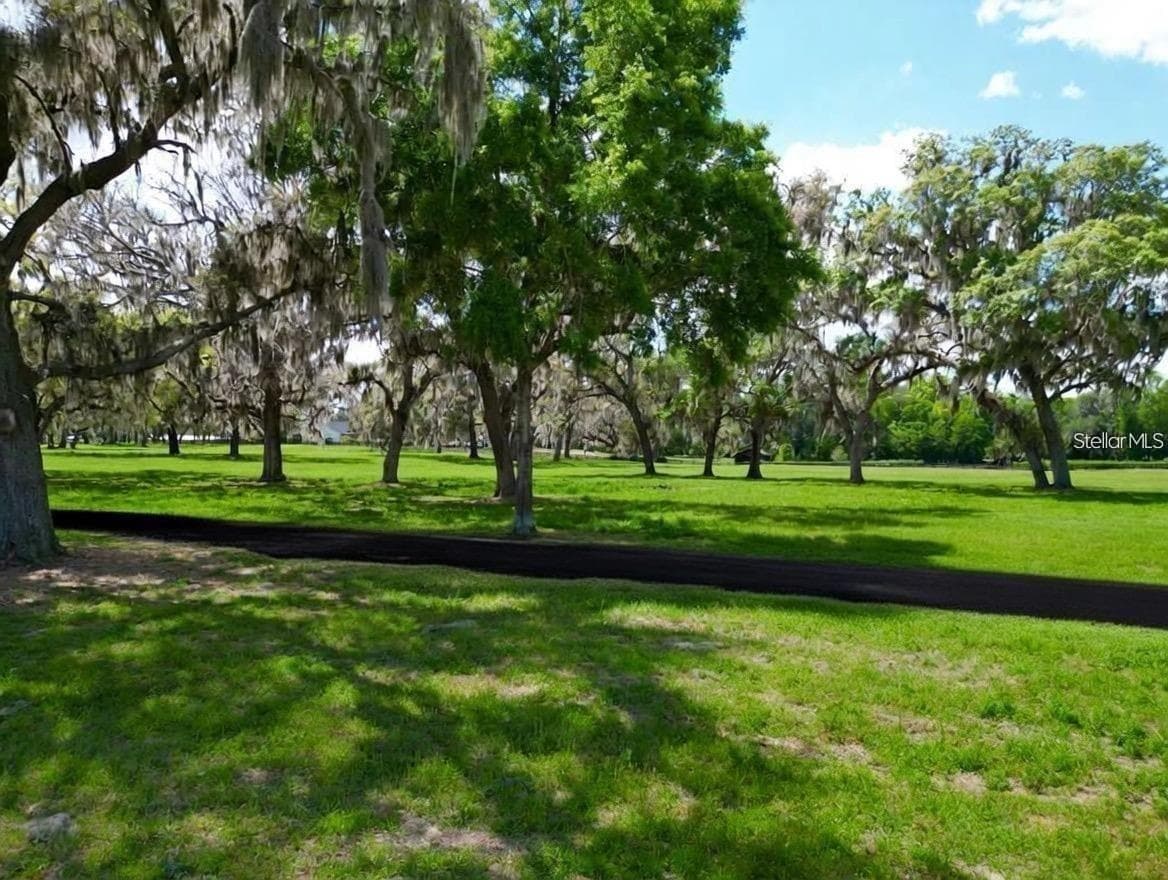 Land at 4 LOTS SE 115TH STREET, BELLEVIEW, photo 8 of 13