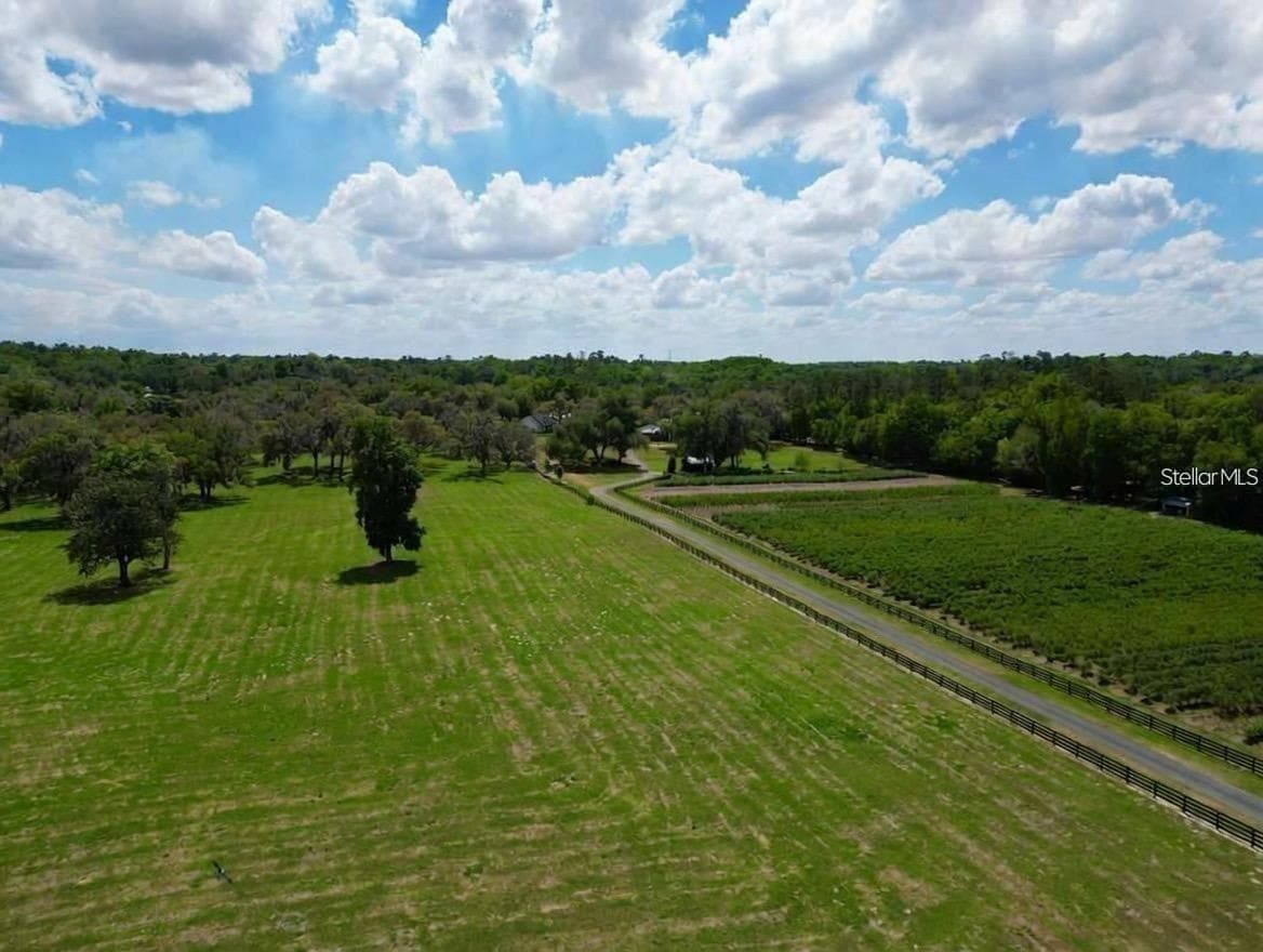 Land at 4 LOTS SE 115TH STREET, BELLEVIEW, photo 11 of 13
