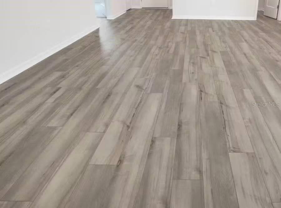 Single Family Residence at 143 DANCING DAHLIA ST, RUSKIN, photo 4 of 11