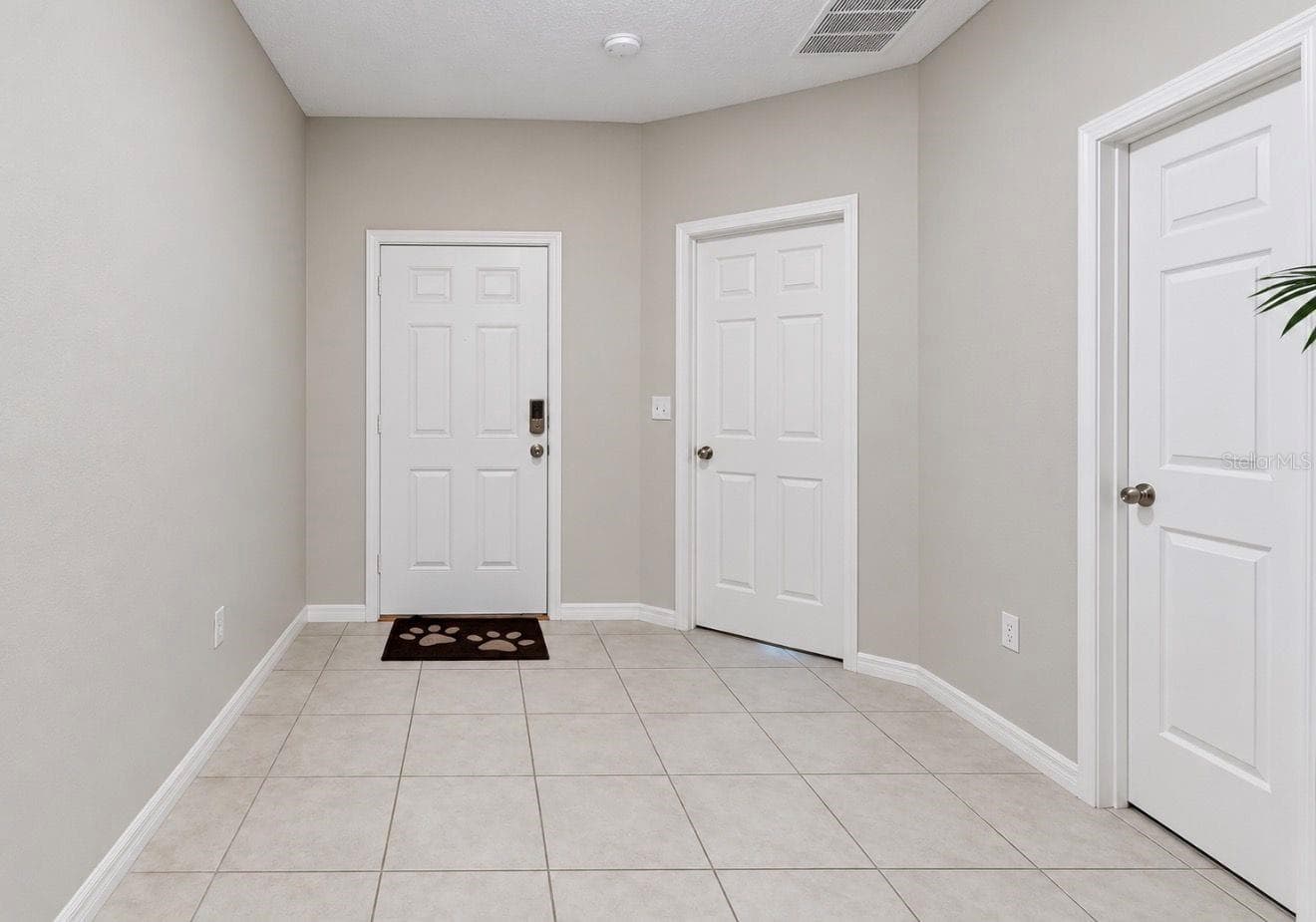 Foyer - 11911 FIELD THISTLE CT, RIVERVIEW