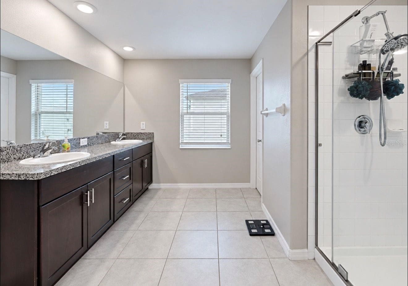 Primary Bath - 11911 FIELD THISTLE CT, RIVERVIEW