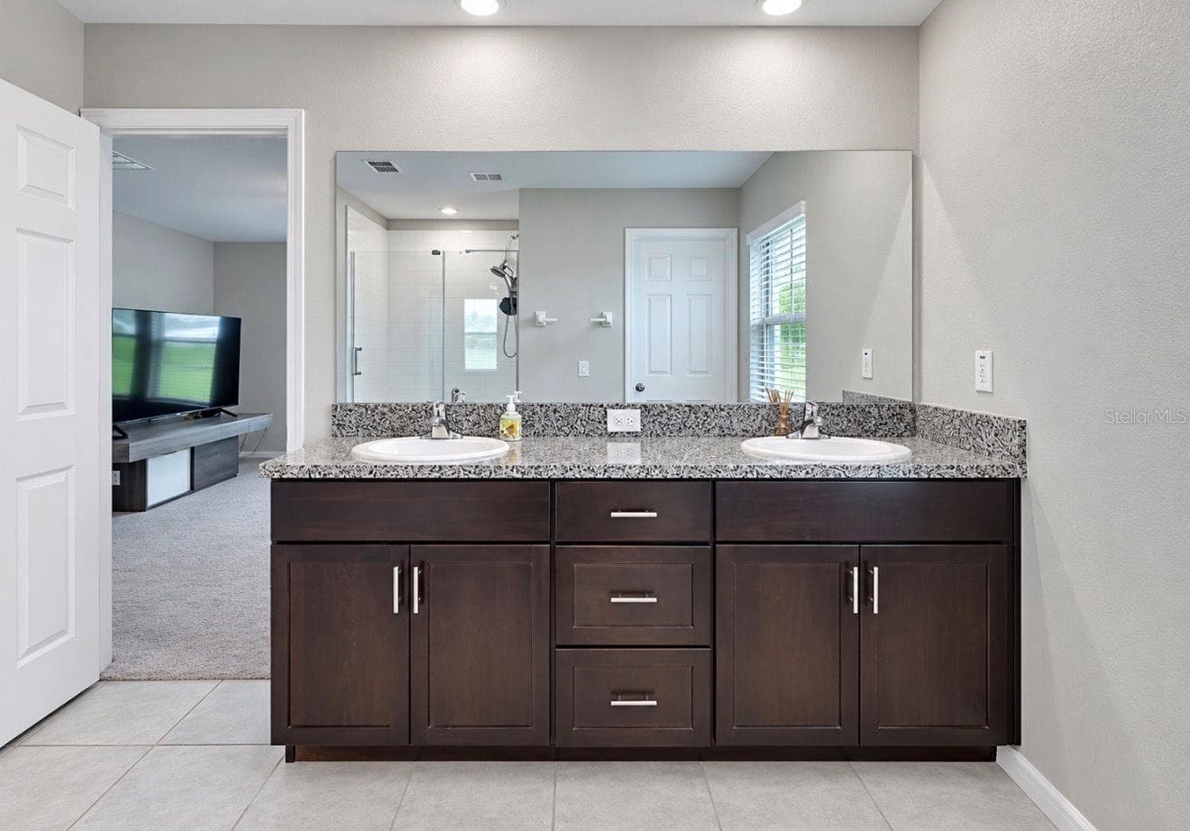 Primary bath - 11911 FIELD THISTLE CT, RIVERVIEW