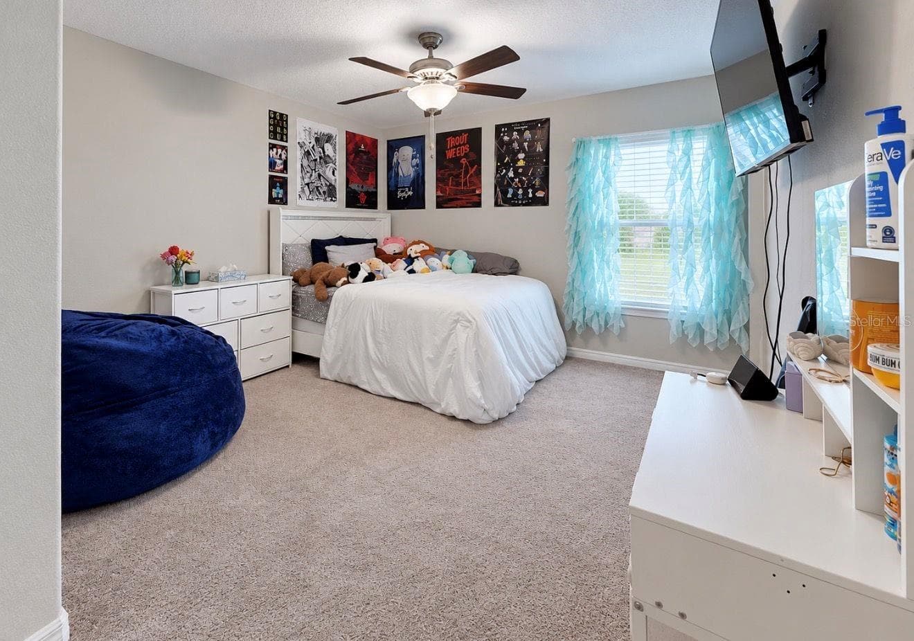 Secondary Bedroom - 11911 FIELD THISTLE CT, RIVERVIEW