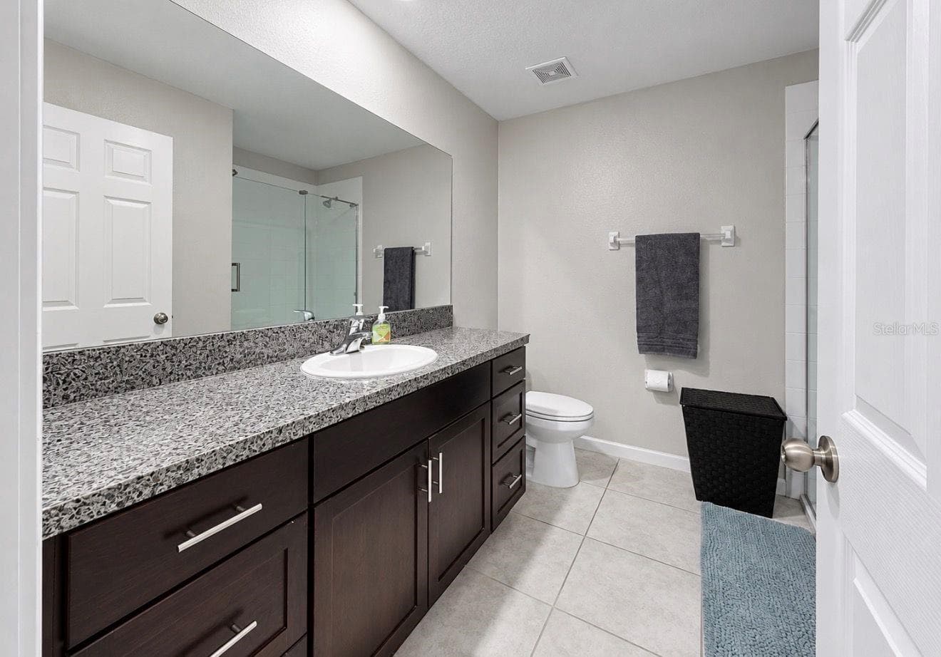 Secondary Bath - 11911 FIELD THISTLE CT, RIVERVIEW