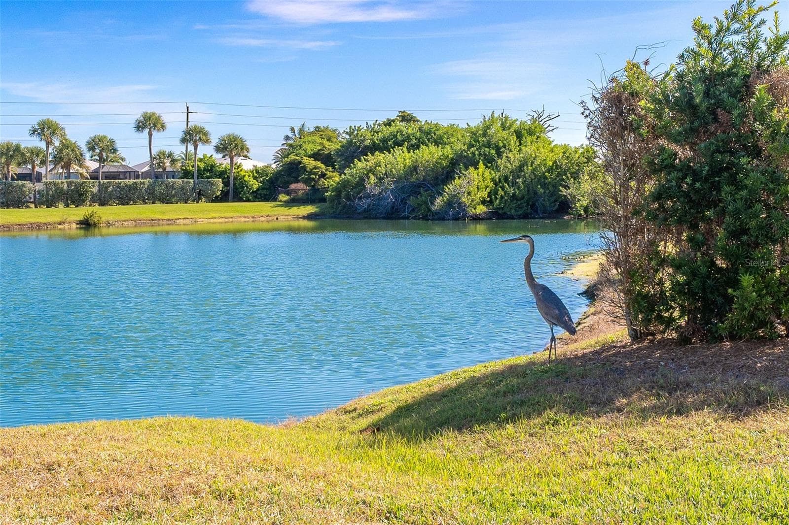 Condominium at 11220 HACIENDA DEL MAR BLVD #203, PLACIDA, photo 42 of 56