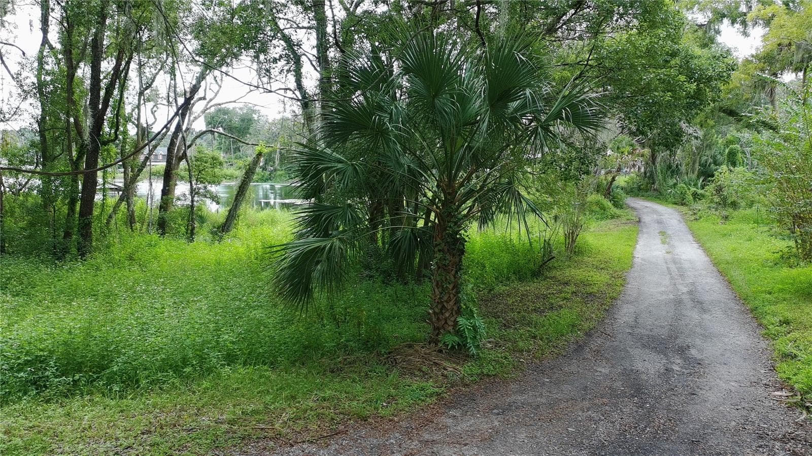 Land at N ORANGE AVE, LAKE HELEN, photo 4 of 13