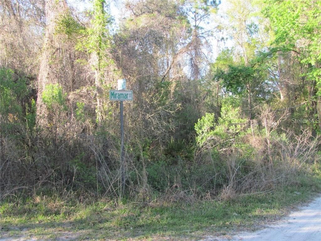 Land at 9917 MIRAMAR ST, NEW PORT RICHEY, photo 2 of 2