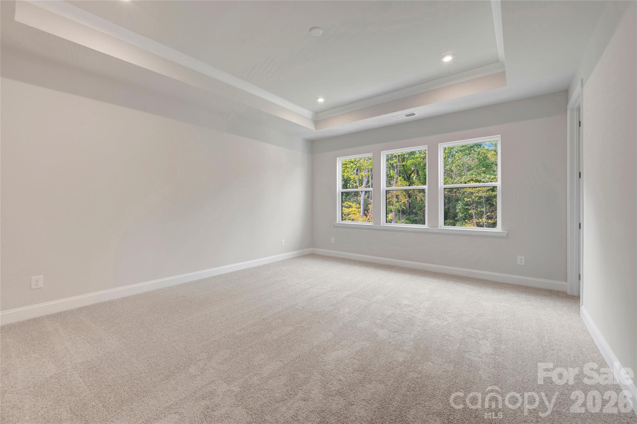 Primary bedroom with tray ceilings - Fort Mill