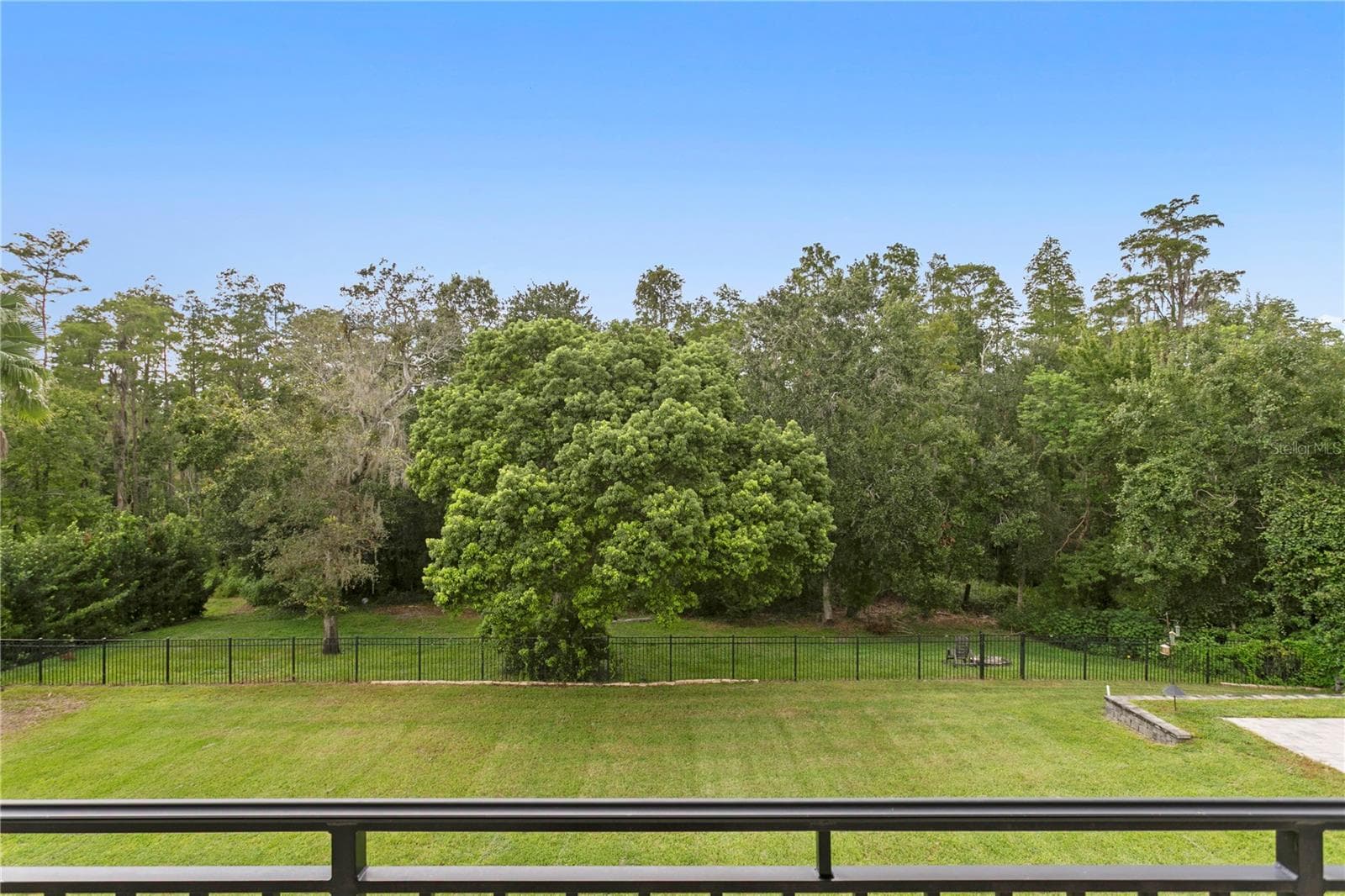 Single Family Residence at 17032 COMUNIDAD DE AVILA, LUTZ, photo 38 of 49