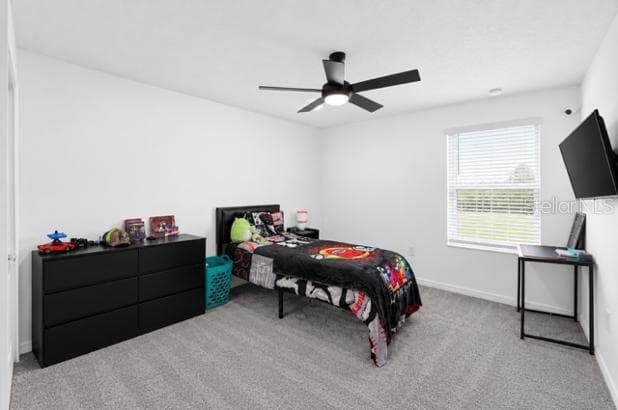 Single Family Residence at 4974 EAGLE ROCK DR, WIMAUMA, photo 76 of 90