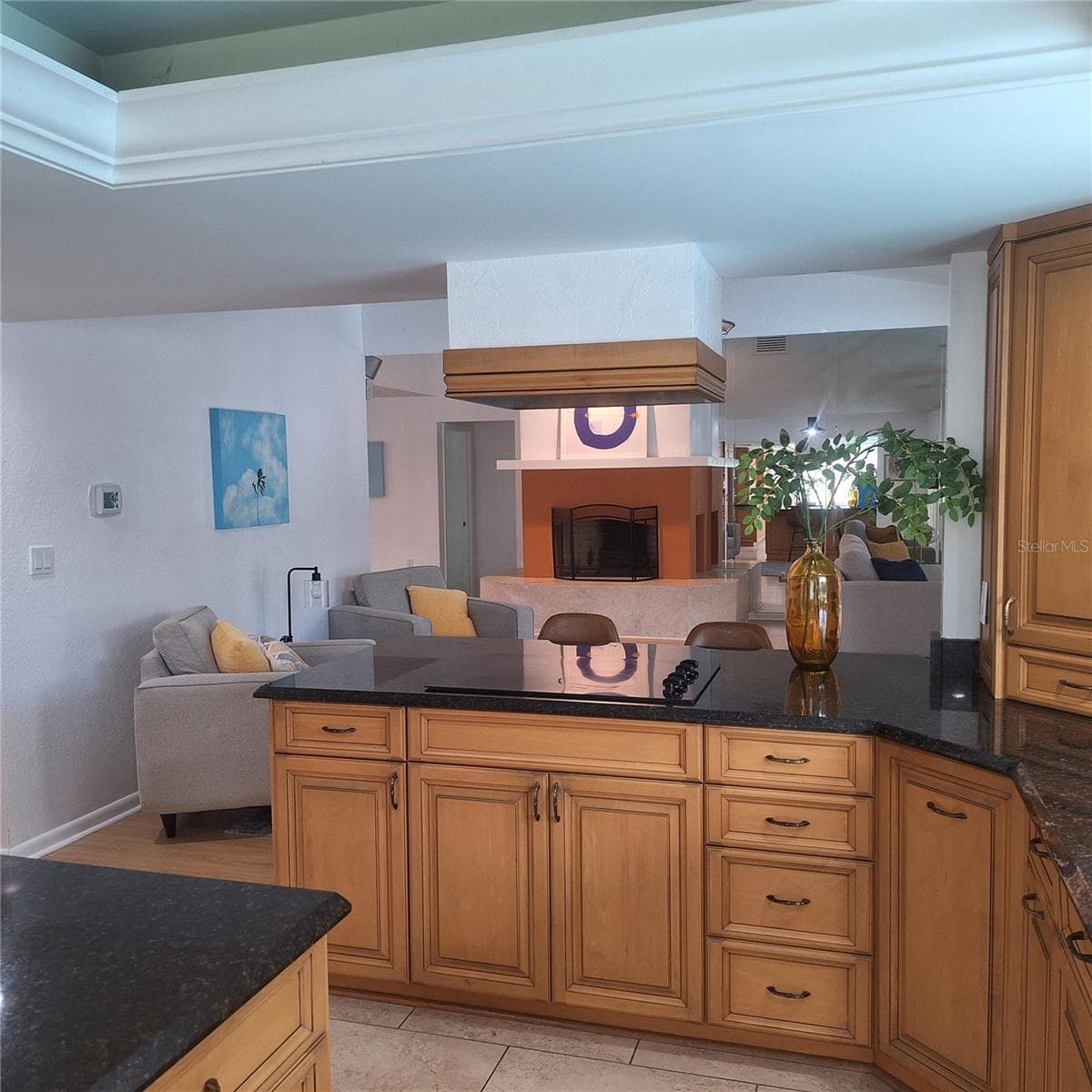 Single Family Residence at 267 MONTE CRISTO BLVD, TIERRA VERDE, photo 18 of 61