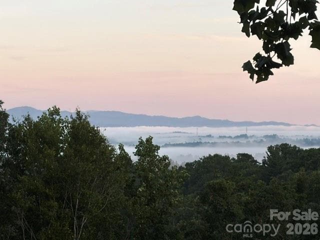 Single Family Residence at 14 Herron View Lane, Weaverville, photo 42 of 44