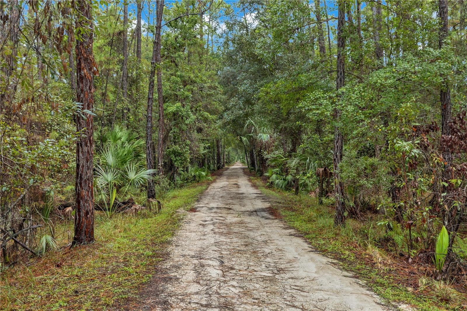 Tranquility - 1930 OLD TRAIN RD, DELTONA