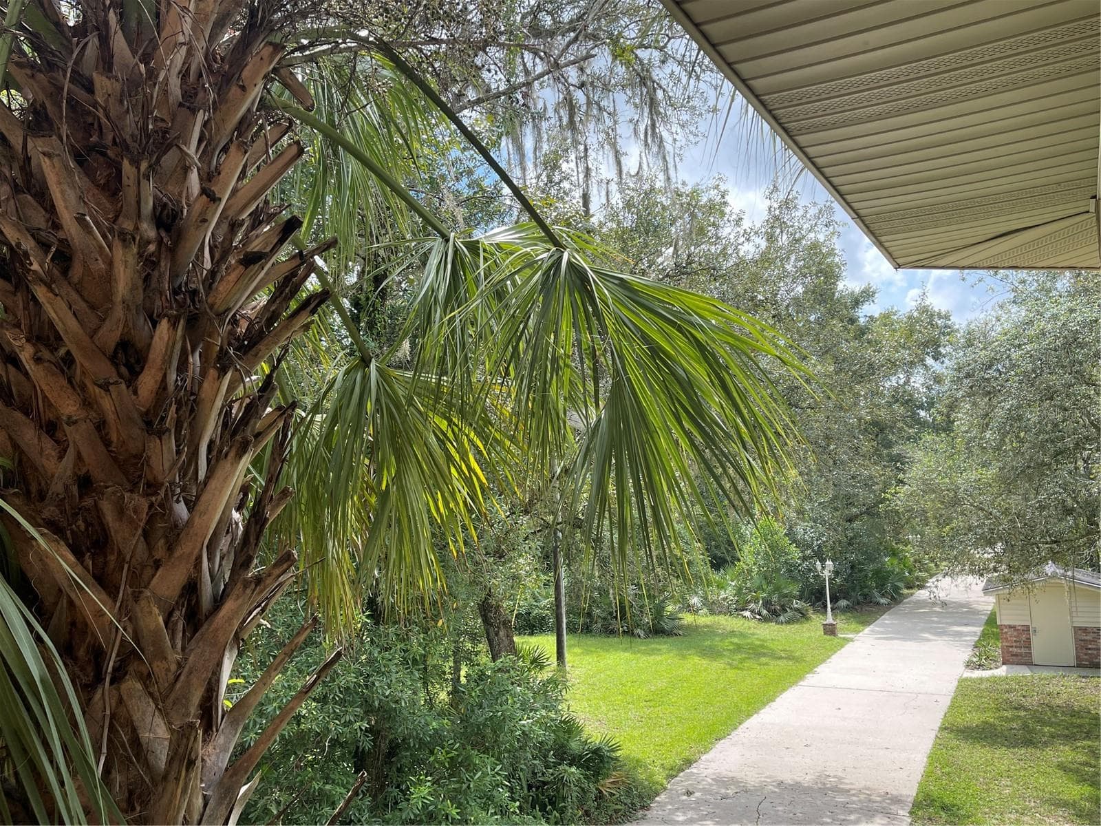 Photo taken from 2nd floor balcony overlooks the 412 concrete driveway - 5422 CYRIL DR, DADE CITY
