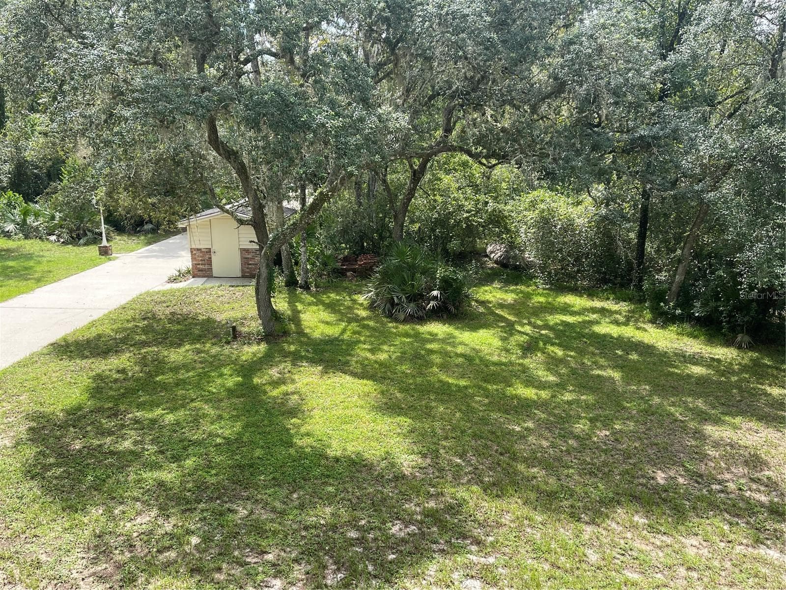 Yard, IN the distance is the well pump house and storage - 5422 CYRIL DR, DADE CITY