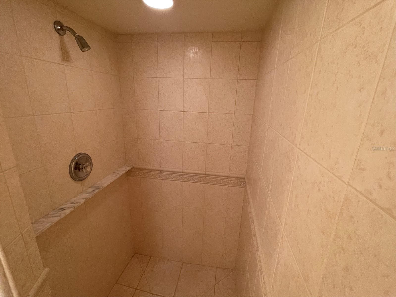 Shower in guest bathroom - 5422 CYRIL DR, DADE CITY